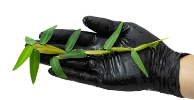 Гигрориза (бенгальский водный рис), шт